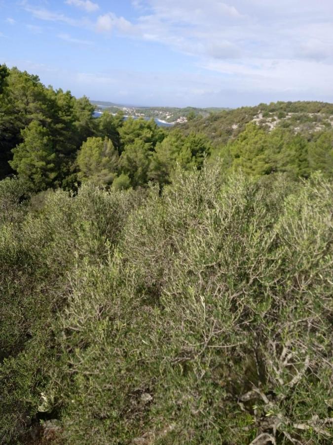 Svema Apartman Vela Luka Exteriör bild